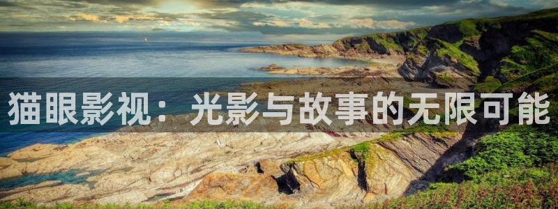 全能影视 官网