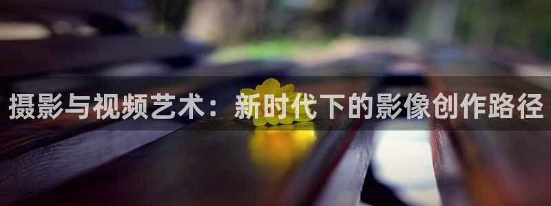 全能影视免费版：摄影与视频艺术：新时代下的影像创作路径
