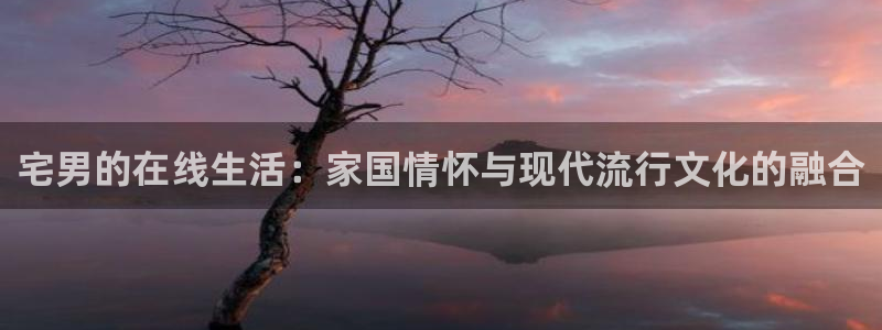 全能影视官网网站入口：宅男的在线生活：家国情怀与现代流行文化的融合
