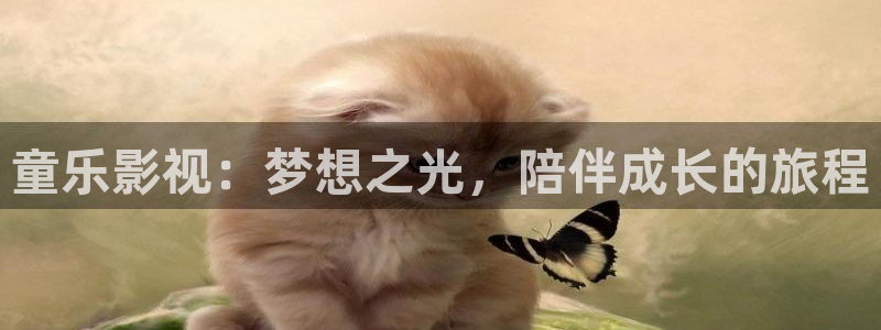 全能影视app：童乐影视：梦想之光，陪伴成长的旅程
