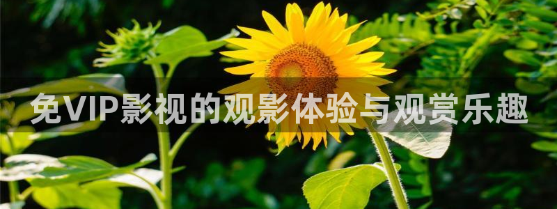 全能影视大全电视剧：免VIP影视的观影体验与观赏乐趣