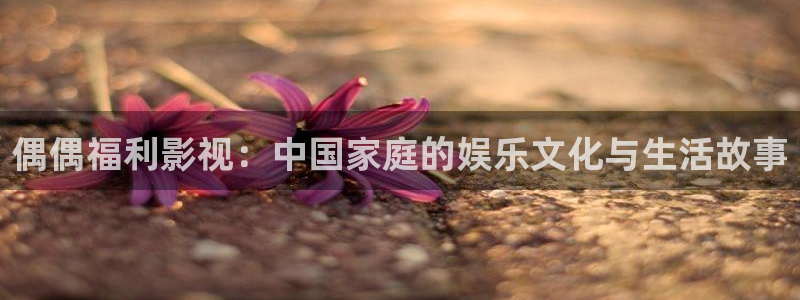 全能影视官网：偶偶福利影视：中国家庭的娱乐文化与生活故事